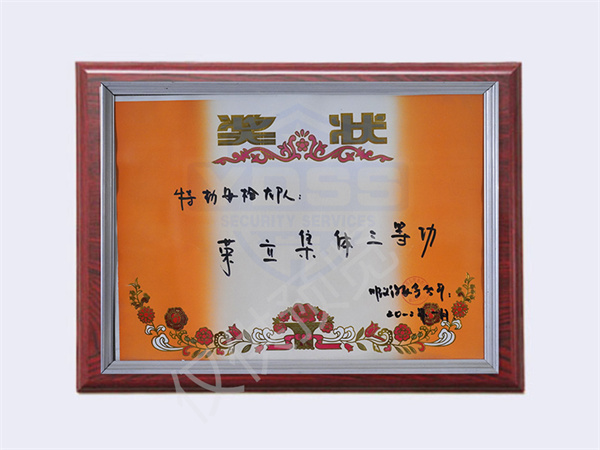 2012特勤安檢大隊(duì)