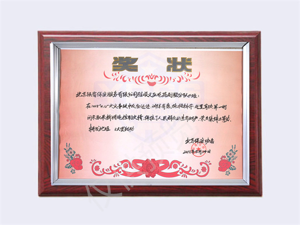 北京銀盾保安服務(wù)有限公司榮獲2018龍?jiān)穭e墅分隊(duì)二班集體三等功