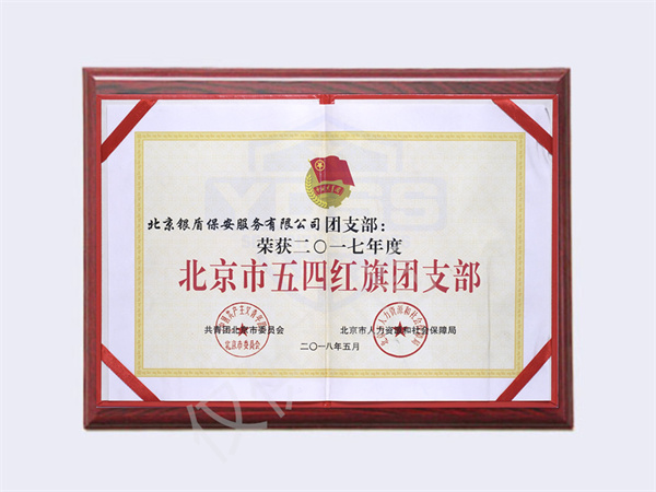 北京銀盾保安服務有限公司2017北京五四紅旗團支部