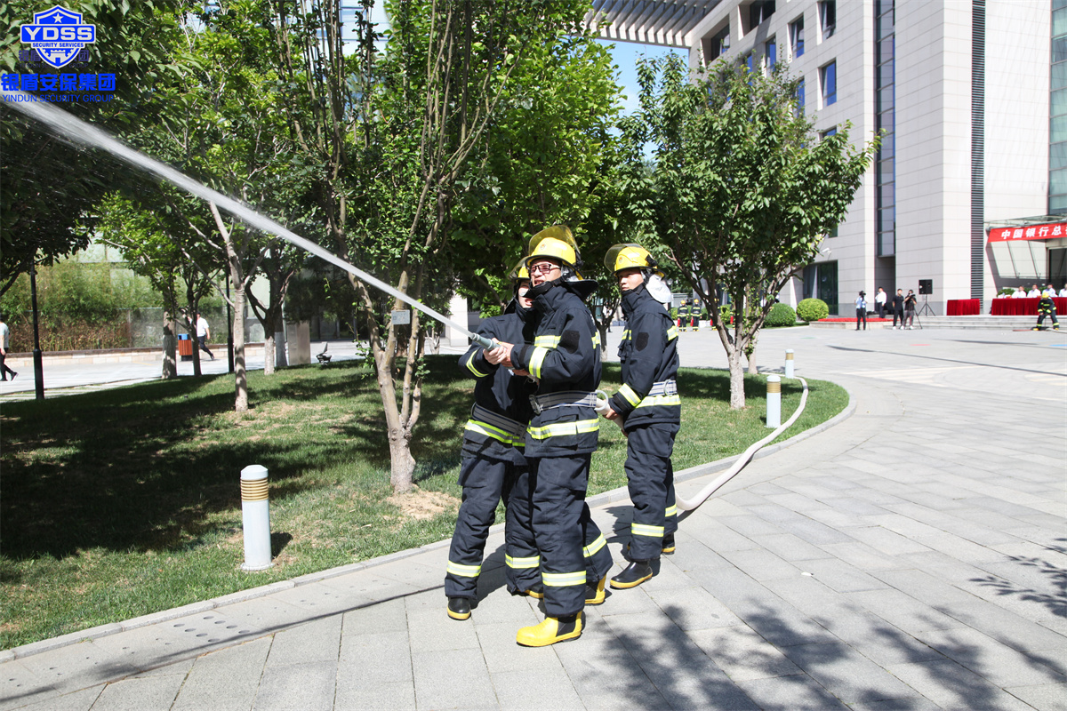 1656646241988959.jpg 4651111.jpg